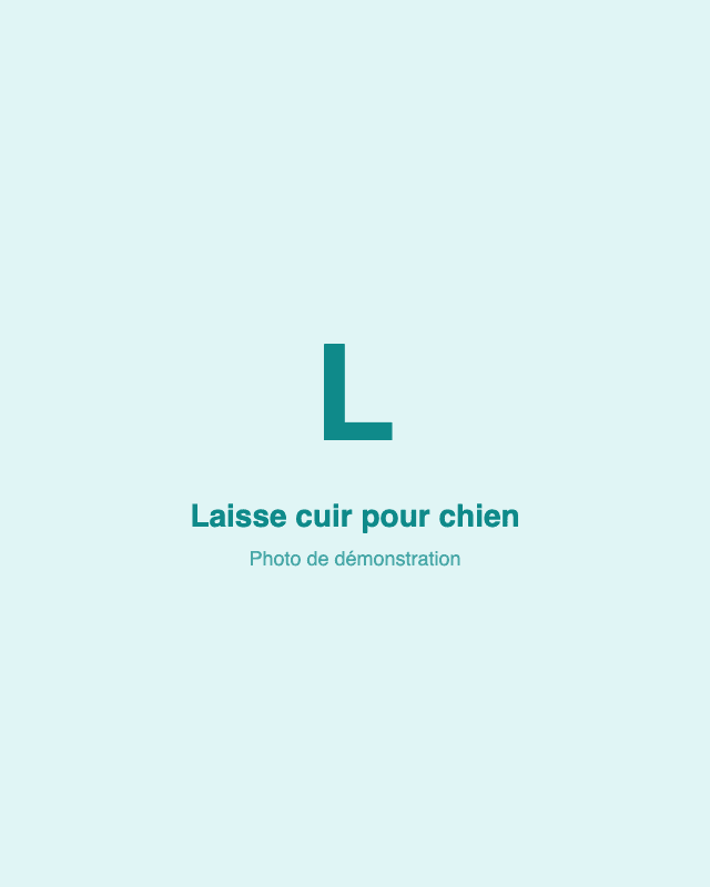 Laisse cuir pour chien